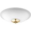 1180-880 - 18W 2 LED Satin Opal Light Kit - Aged Brass Finish
