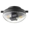1370-69 - 12W 2 LED Outdoor Rated Light Kit - Noir Finish