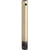 6 Inch Down Rod Length - Antique Brass Finish