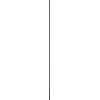 24 Inch Down Rod Length - Noir Finish